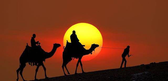 沙漠骆驼三人版小苹果:开辟新大道：骆驼这一西域“洋”品种是如何输入到中原的-第5张图片-太平洋在线下载