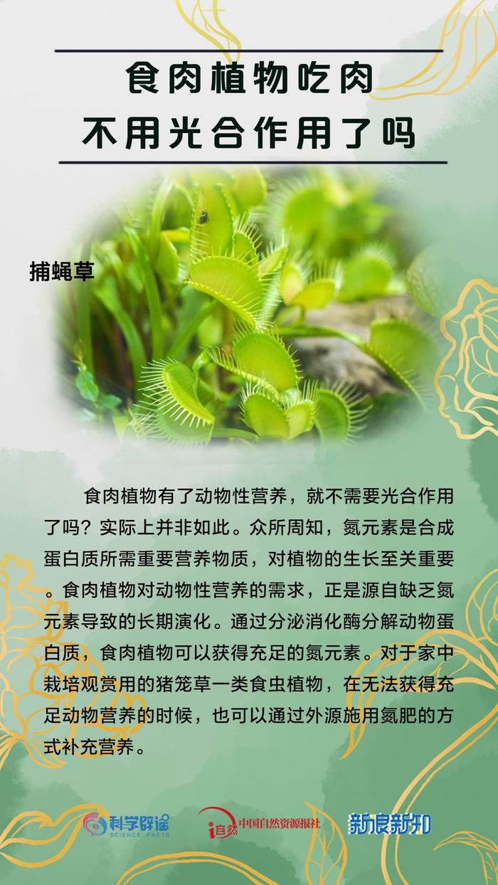 小草客户端辟谣小草客户端电脑版