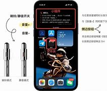 关于56paoap苹果版的信息